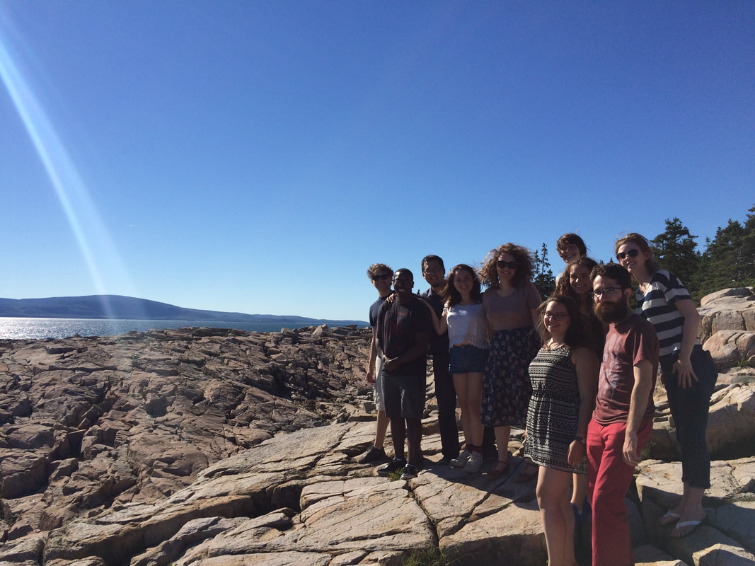A group of festival participants pose at Schoodic Point in Acadia Nation Park with Cadillac mountain in the background.